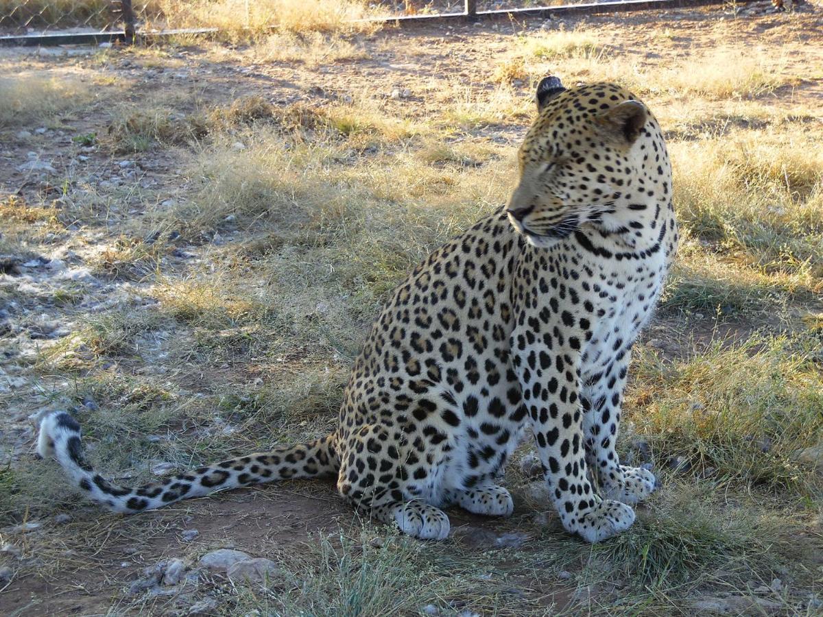 Aloegrove Safari Lodge Otjiwarongo Exterior photo